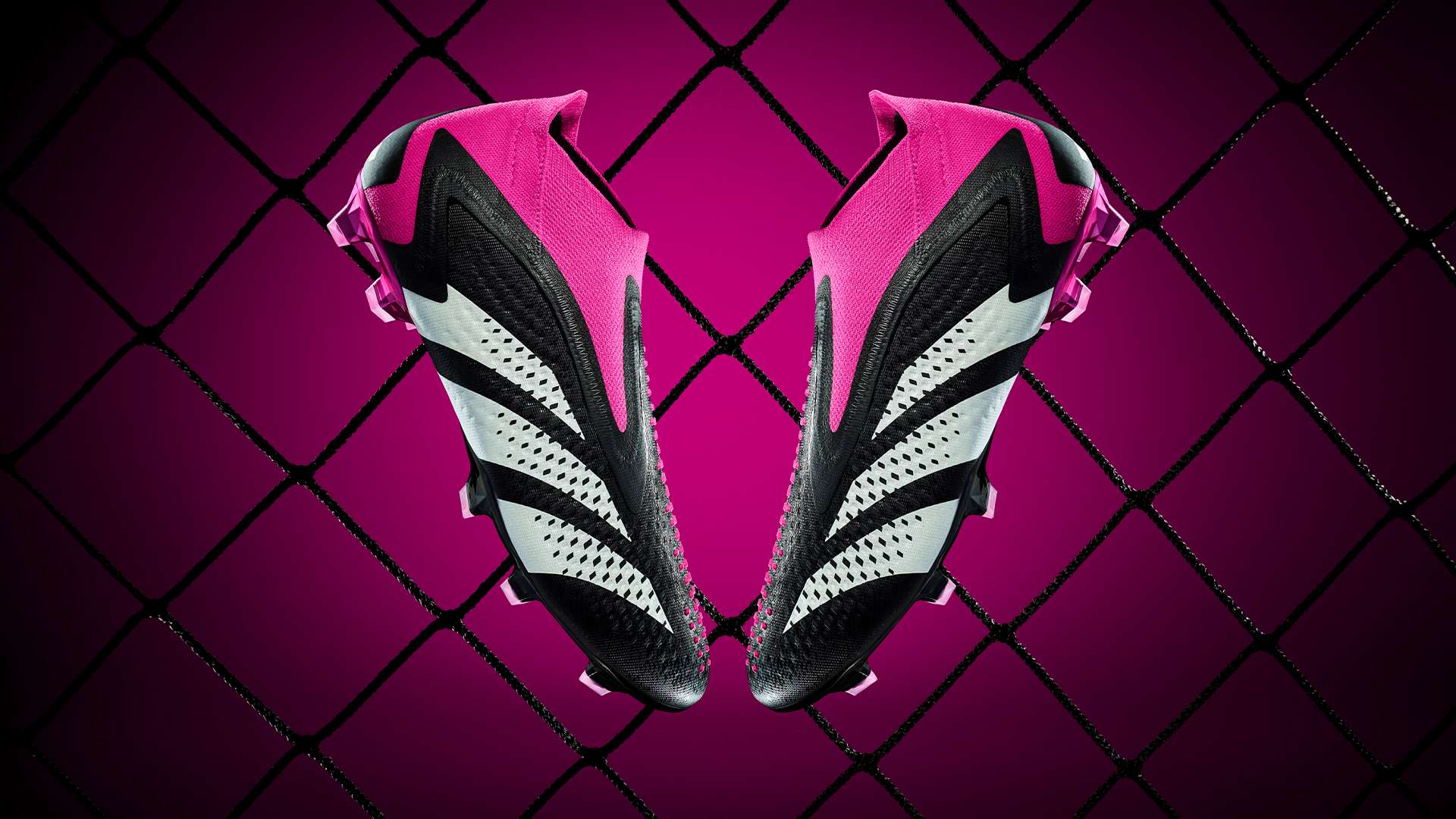 与个人辉煌 与个人辉煌